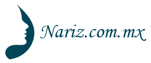 nariz.com.mx Logo